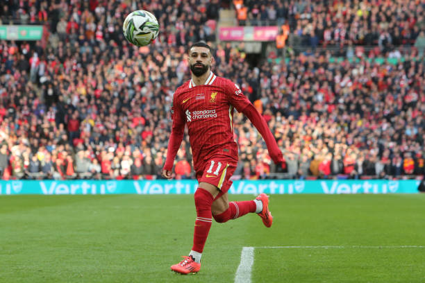 这意味着他 这意味着他