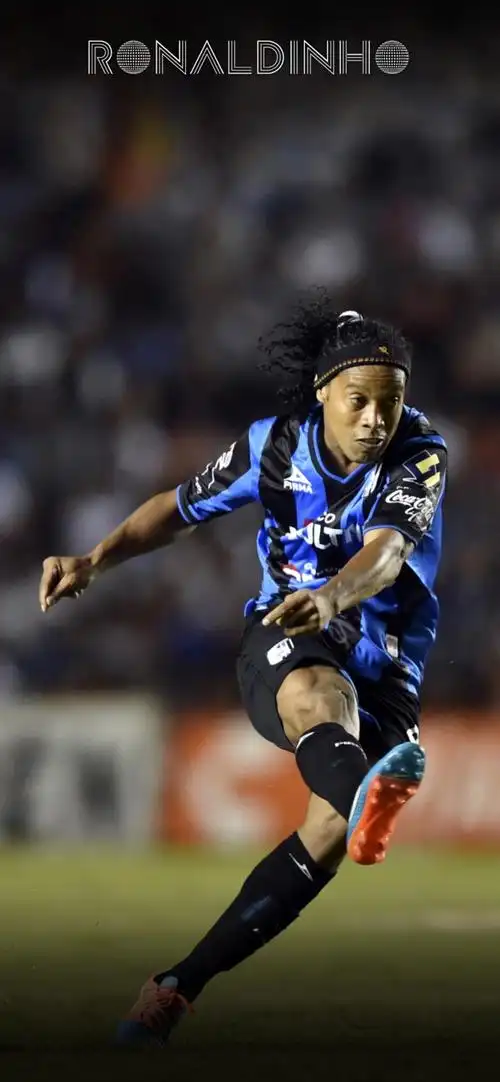 韧不拔的精 韧不拔的精